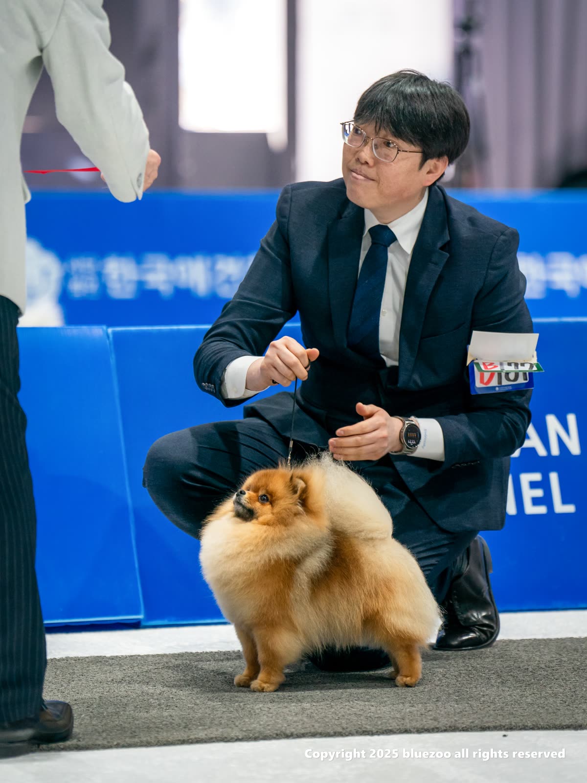 마늘 4