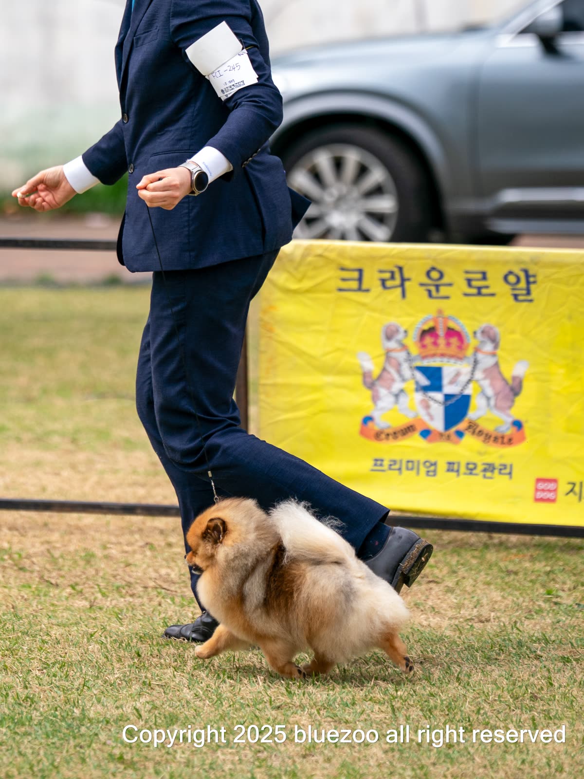 마늘 7
