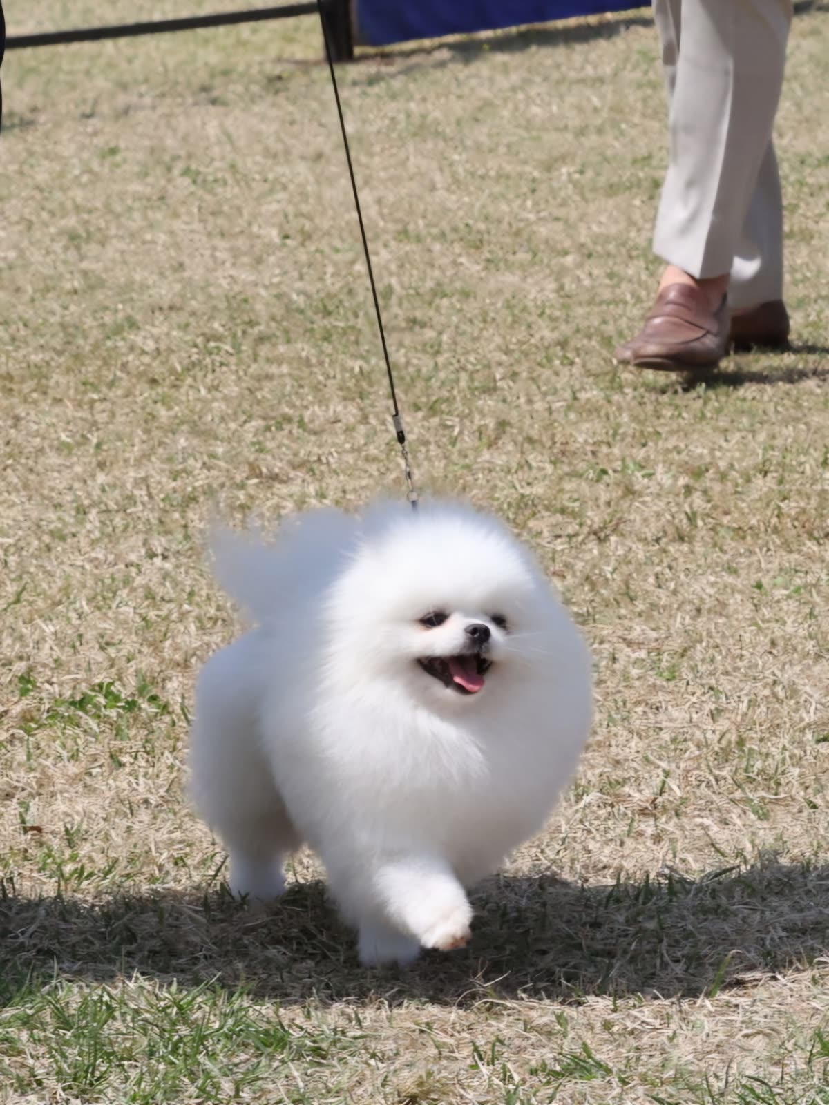 맹구 10