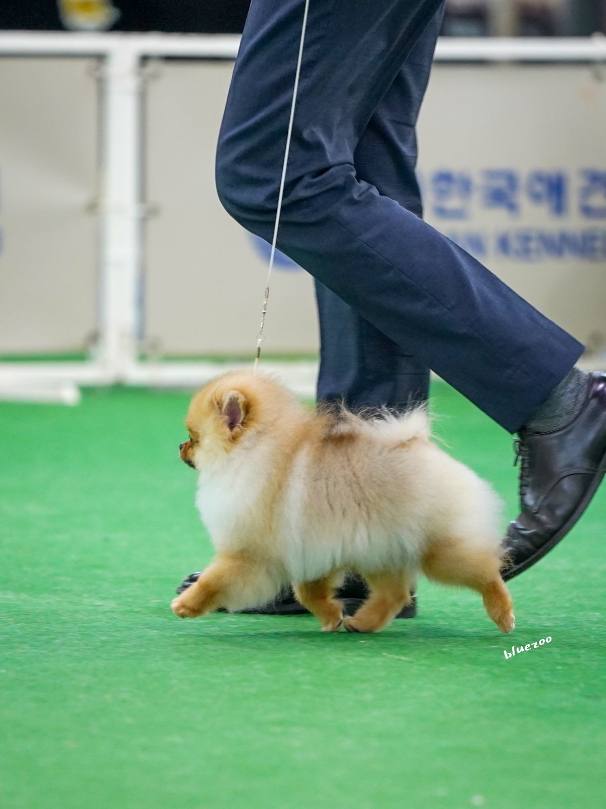 토토 5